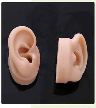 Silikona ausu modeļa simulācijas cilvēka auss kniedes un auskari displejs rotaslietas durta brūce ausī tetovējums prakse